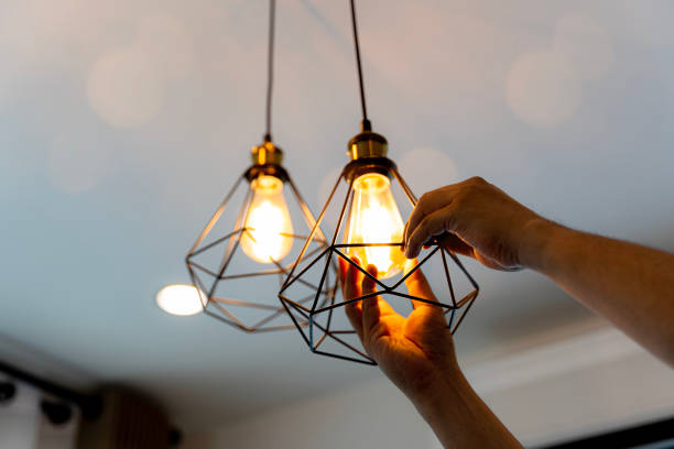 Best Affordable Electrician  in Wilkinson Heights, SC