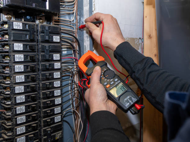 Best Licensed Electrician  in Wilkinson Heights, SC